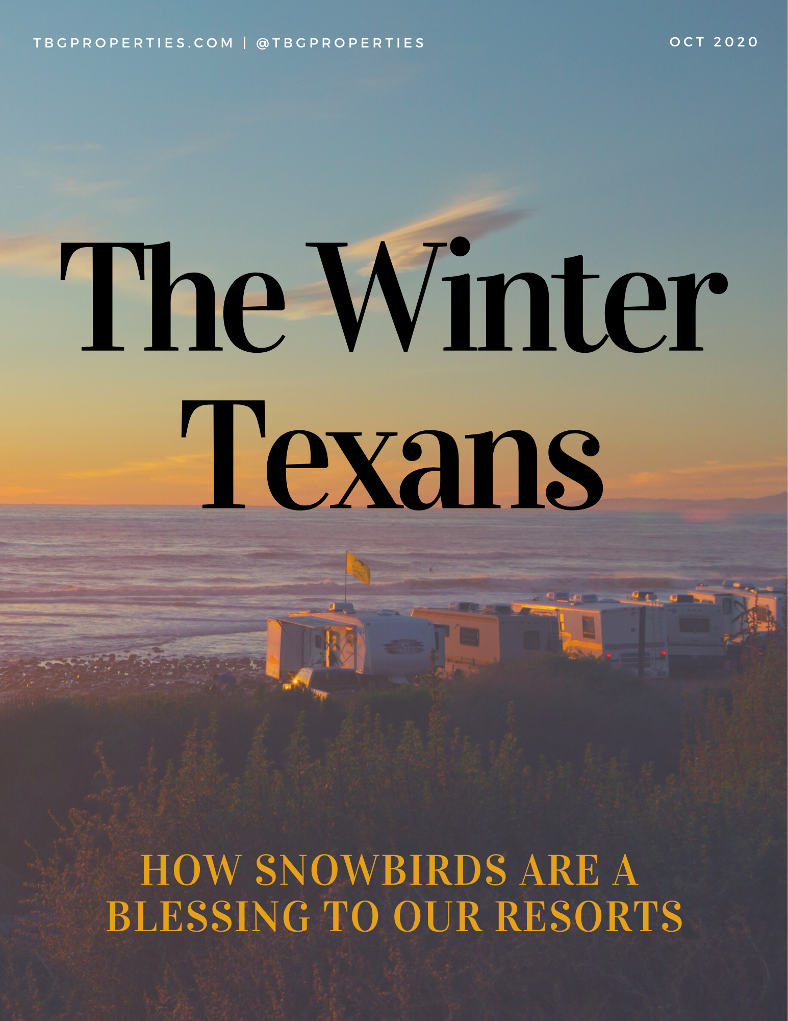 The Winter Texans