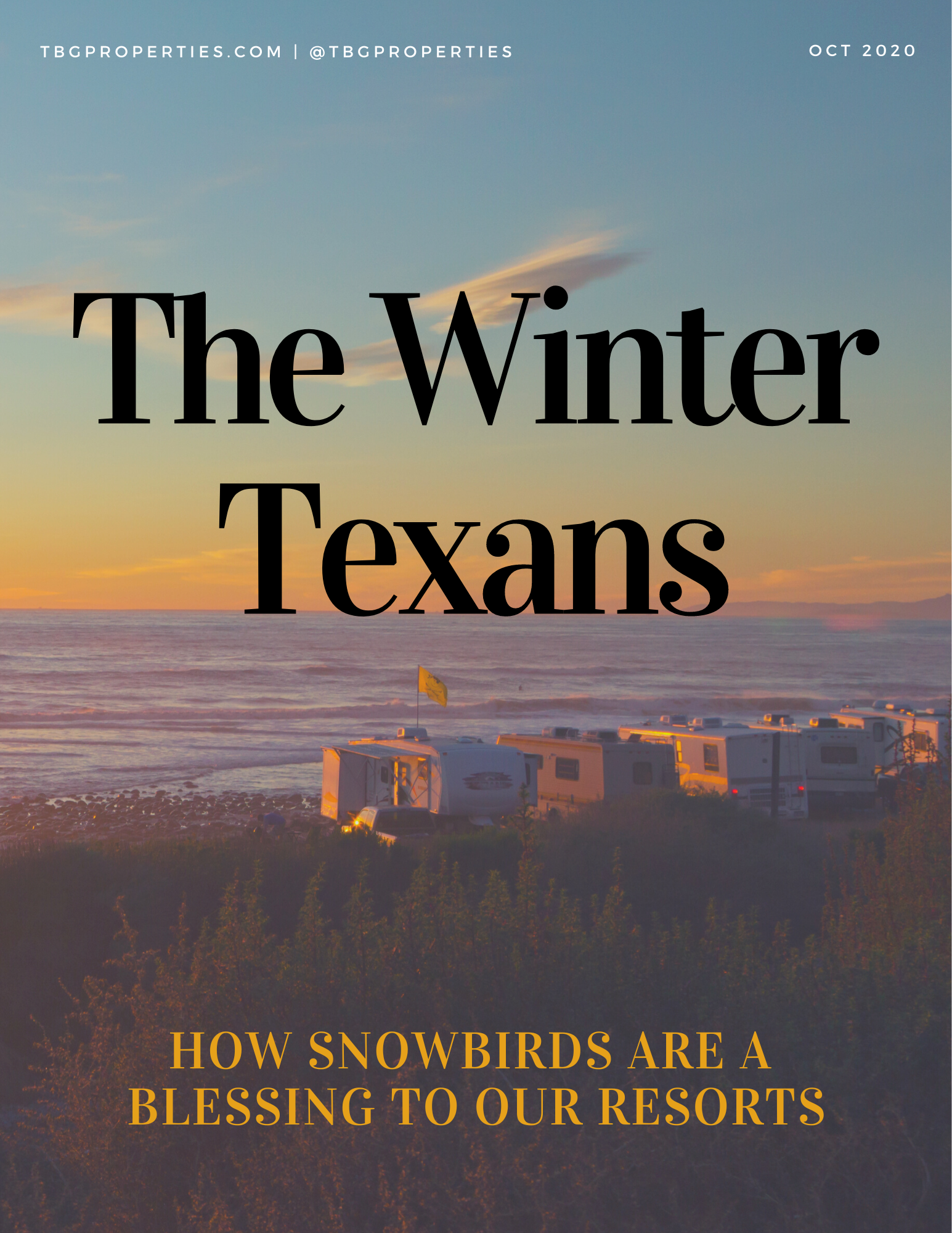 the winter texans