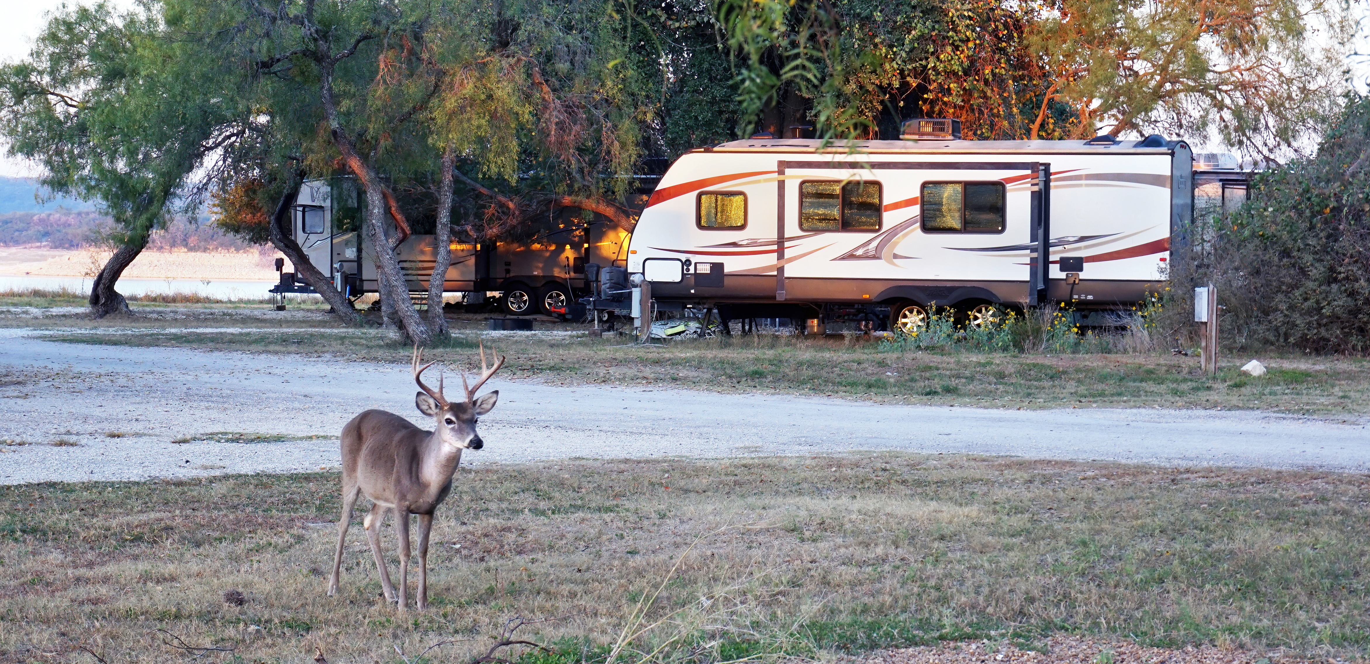 start your texas adventure